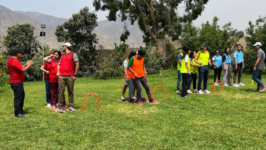 Integración DVT