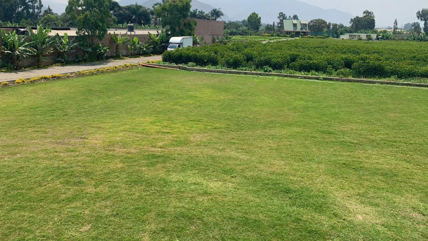 Local Áreas Verdes DVT